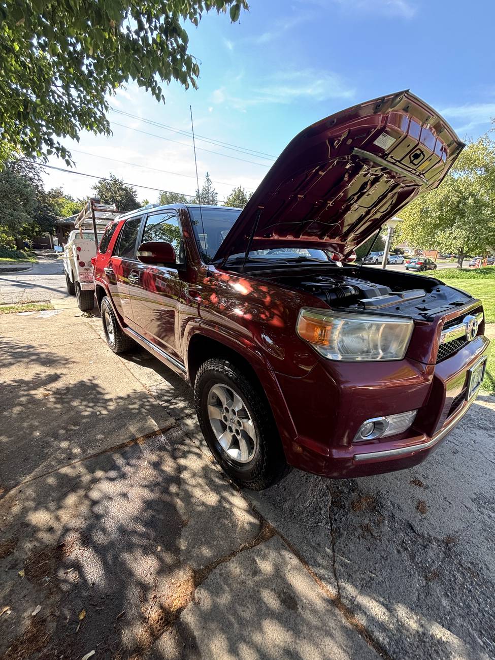 Clean truck engine bay after a Premium Detail