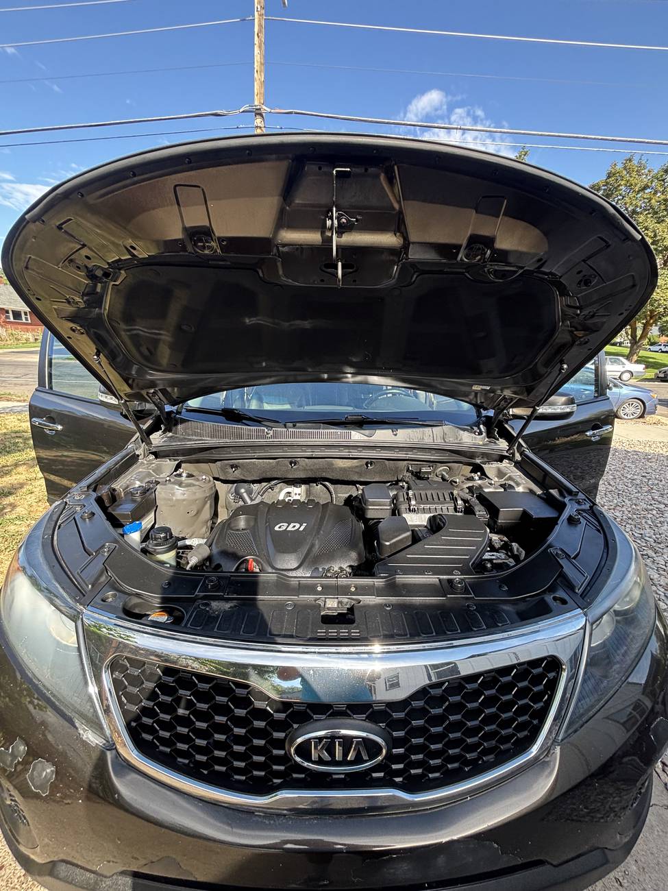 Clean, detailed engine bay after a Premium Detail